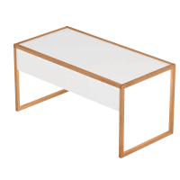 LIGNUM Boxx Schreibtisch