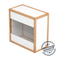LIGNUM Boxx Vitrine Klar-Glas