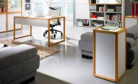 LIGNUM Boxx Regal schmal